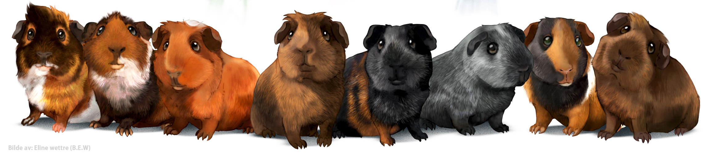 Bilde tegning ca 4.6.jpg