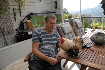 kø 350 – Kopi.JPG